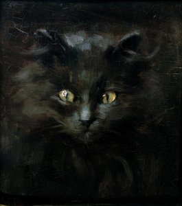 Ritratto di un gatto da Julius Adam