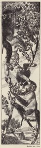 Scimmie che raccolgono frutta su un albero (litografia) da Julius Diez