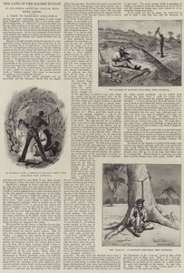 La terra della pepita d