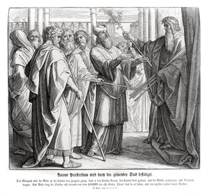Il sacerdozio di Aronne è confermato, Numeri