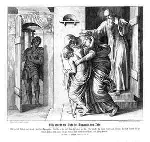 Eliseo resuscita il figlio della Sunamita, 2 Re da Julius Schnorr von Carolsfeld