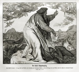 Quinto giorno della creazione, Genesi da Julius Schnorr von Carolsfeld