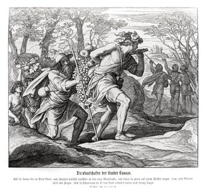 Esploratori nella terra di Canaan, Numeri