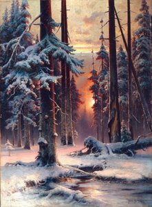 Tramonto invernale nella foresta di abeti