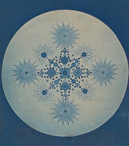 Frustuli di diatomee, ca. 1870 da Julius Wiesner.