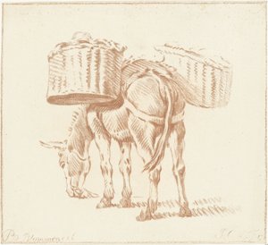 Asino carico