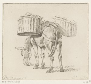 Asino carico