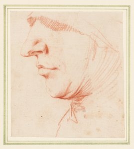 La testa di un uomo di profilo da Jusepe de (1591 1652) Ribera