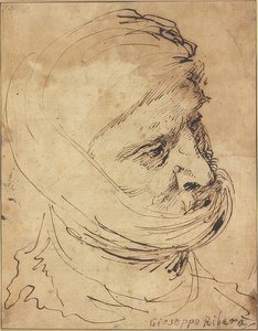 Testa barbuta con un panno legato sotto il mento da Jusepe de Ribera