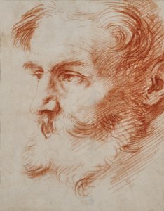 Testa di uomo barbuto da Jusepe de Ribera