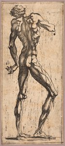 Uomo che Volge la Testa a Sinistra da Juste de Juste