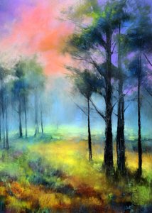 Sentiero nella foresta nebbiosa da Justyna Jaszke