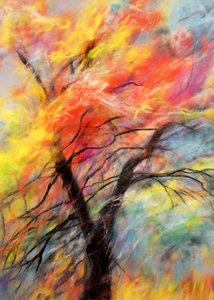 Albero autunnale dai colori vivaci da Justyna Jaszke