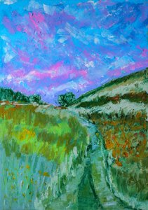 Vivace sentiero di campo