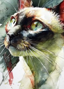 Lo sguardo vivace del gatto siamese