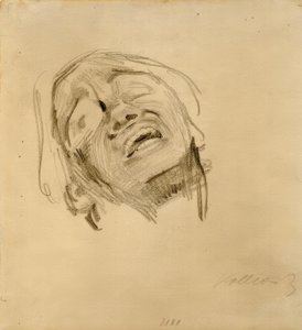 Testa di donna da Käthe Kollwitz