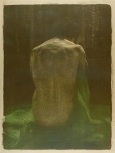Nudo femminile di schiena su stoffa verde da Käthe Kollwitz