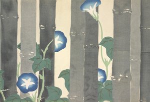 Asagao, da Momoyo-gusa