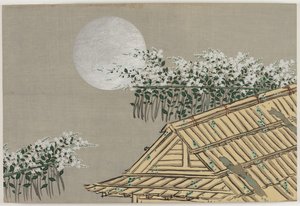 Fiori di cento mondi (Momoyogusa): Fiori d