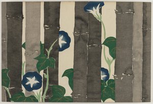 Fiori di cento mondi (Momoyogusa): Gloria del mattino (Asagao)