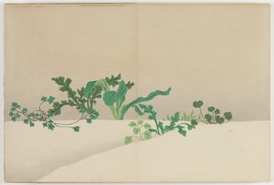 Fiori di Cento Mondi (Momoyogusa): Sette Erbe della Prima Primavera (Nanagusa) da Kamisaka Sekka