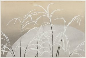 Fiori di Cento Mondi (Momoyogusa): Erba Susuki al Chiaro di Luna (Obana ni tsuki) da Kamisaka Sekka