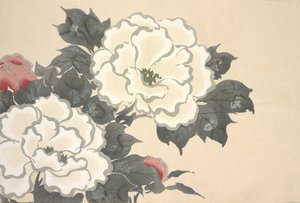 Fukami-Gusa, da Momoyo-gusa (Il mondo delle cose) Vol I, pub.1909 da Kamisaka Sekka