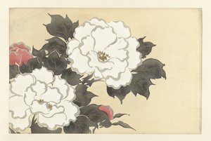 Peonie da Kamisaka Sekka