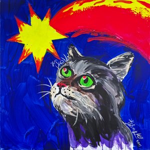 Gatto e Cometa
