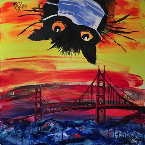 Gatto mascherato al tramonto a San Francisco