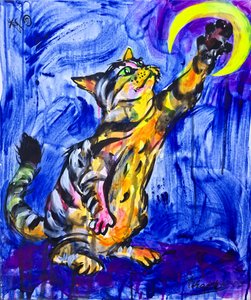 Gatto giocoso e la luna