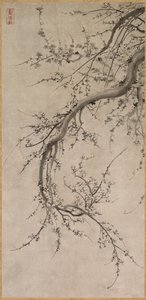 Prunus