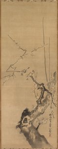 Passeri su prugno in fiore, XVII secolo da Kanō Tan’yū