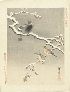 Tre uccelli su un ramo innevato da Kano Tsunenobu