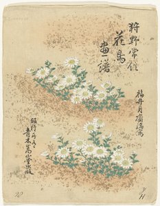 Indice da Kano Tsunenobu