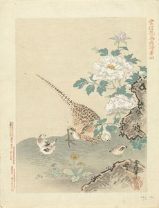 Quaglia con pulcini (serie Bloemen- en vogelschetsen van Kano Tsunenobu, Kano Tsunenobu kacho gafu) da Kano Tsunenobu