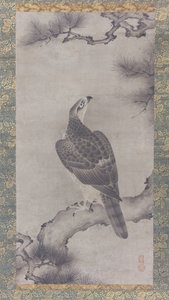 Falco su un pino, XVI secolo da Kano Yukinobu