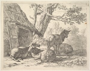 Quattro pecore, una pecora in piedi tra tre altre sdraiate a terra accanto a una capanna, 1658