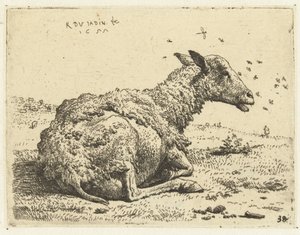 Pecora sdraiata con mosche da Karel Du Jardin