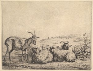 Due capre e tre pecore, 1655 da Karel Du Jardin