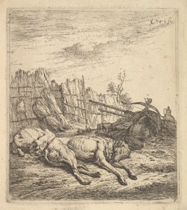 Due cani che dormono a terra, un aratro, attrezzi agricoli, fasci di paglia, ca. 1641-78 da Karel Du Jardin