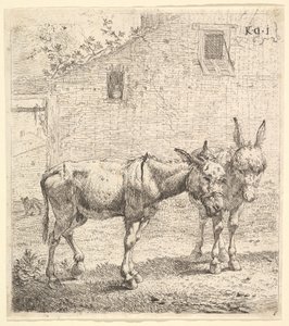 Due asini in un cortile erboso, uno in vista di profilo rivolto a destra e un altro dietro, 1652