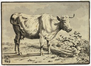 Mucca da Karel Dujardin