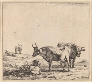Mucca, Toro e Vitello