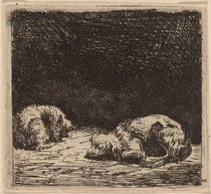 Cane e Gatto da Karel Dujardin