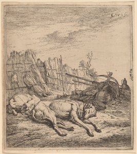 Cani da caccia da Karel Dujardin