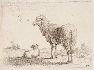 Pecora con agnello da Karel Dujardin
