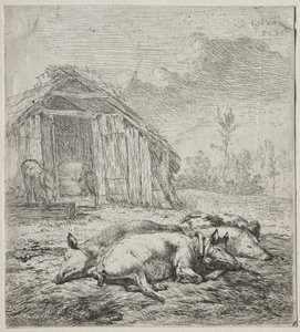 Tre maiali sdraiati davanti a un porcile da Karel Dujardin