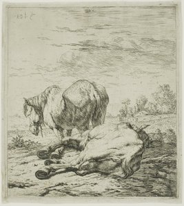 Due cavalli da Karel Dujardin