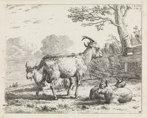  da Karel Dujardin